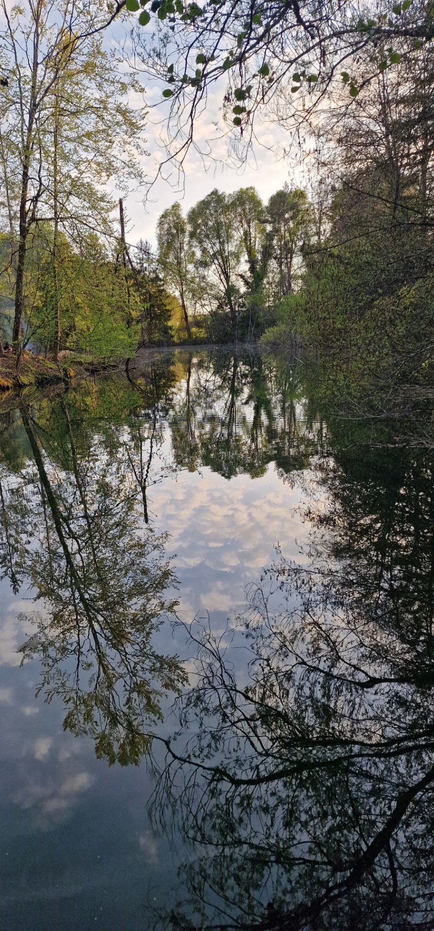 Reflets du ciel