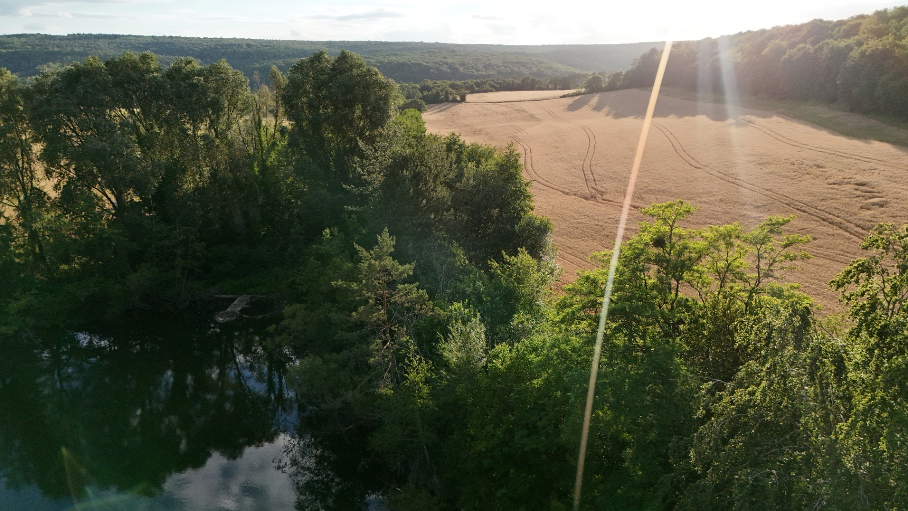 Entre forêt et champs
