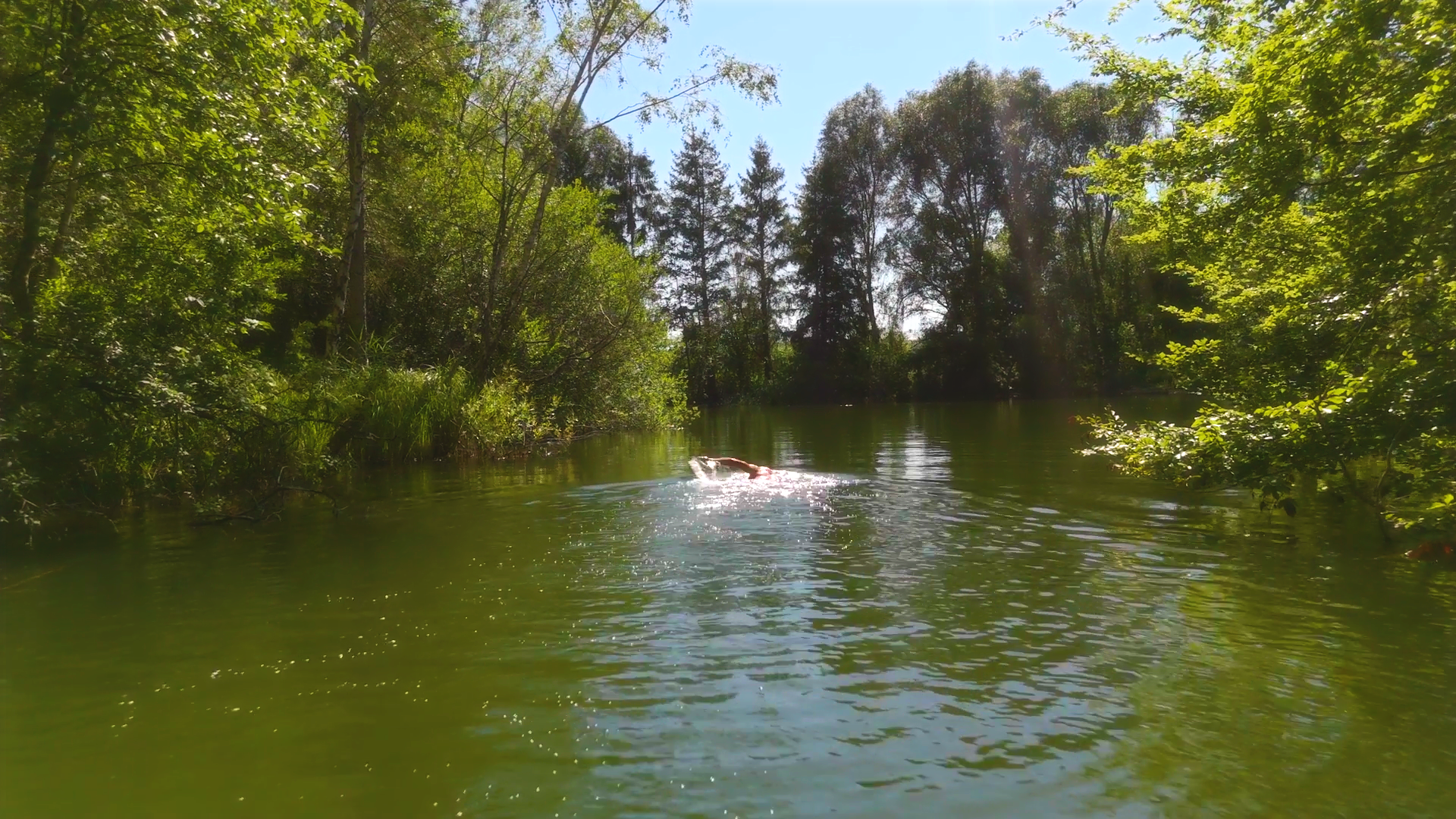 Bassin naturel